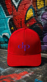 dp purple embroidered flex fit hat